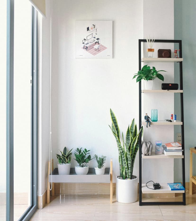 indoorrenovation1