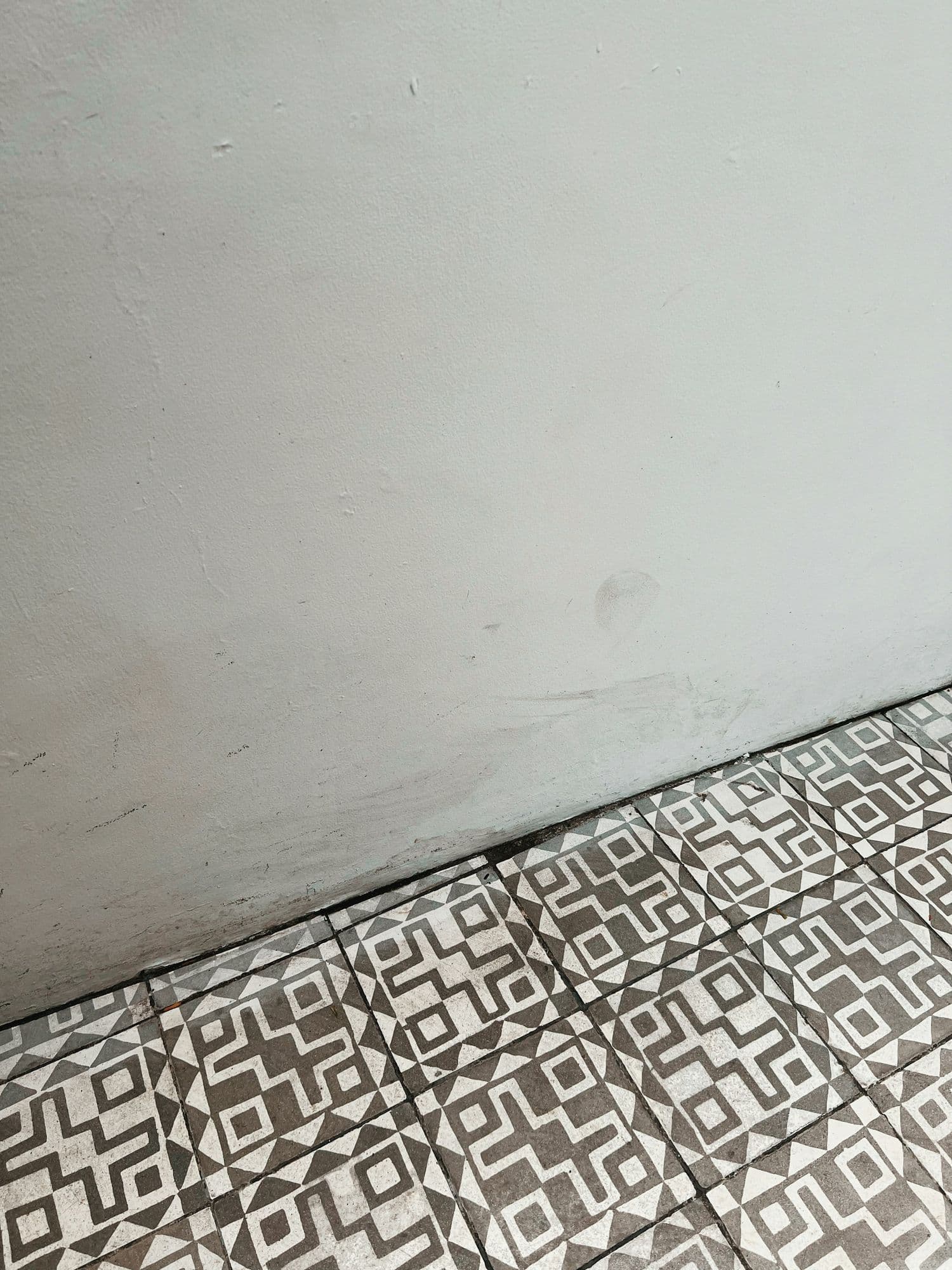 Lime Plaster
