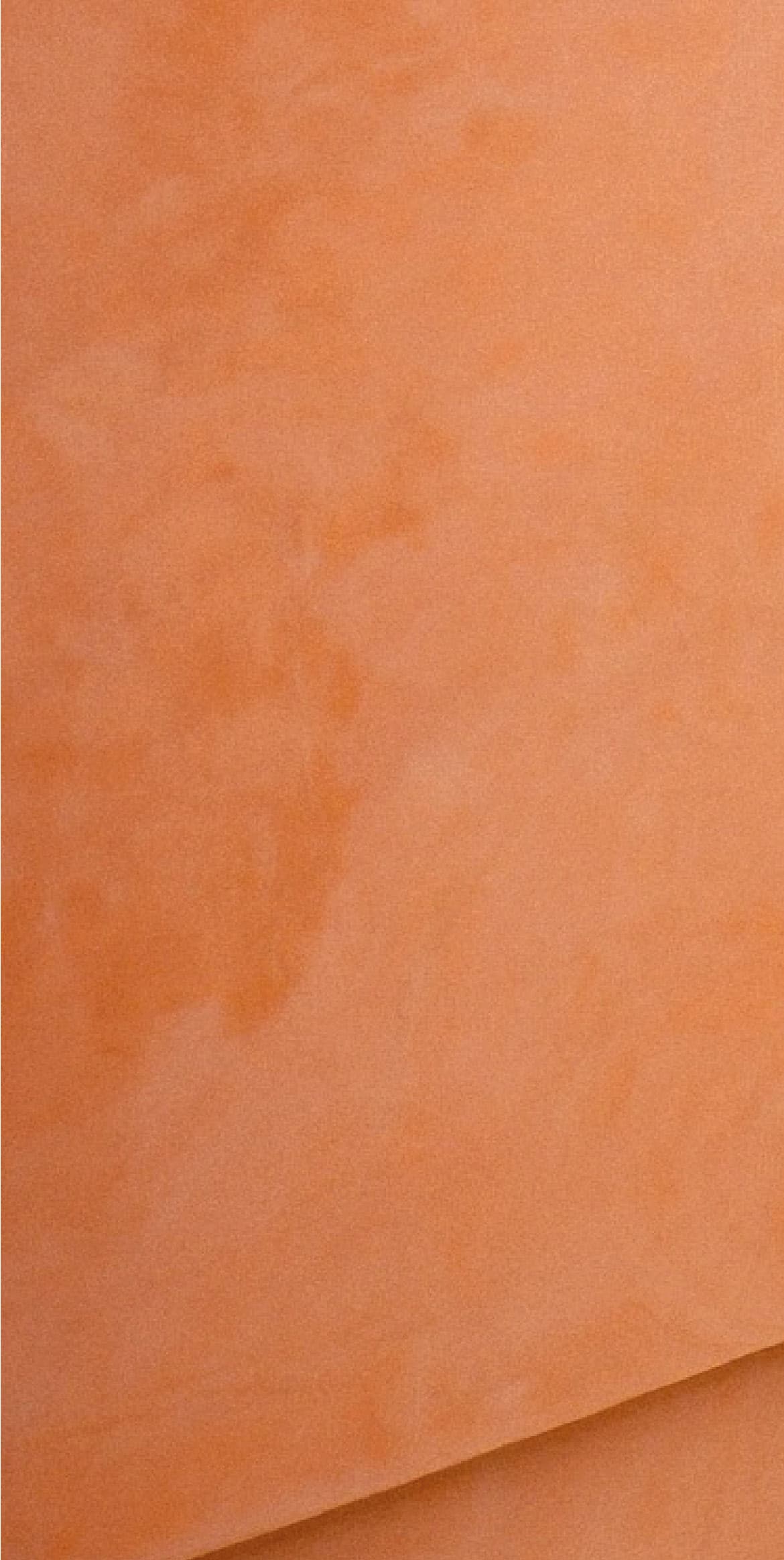 Decorative Wall Paint