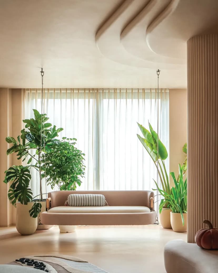 Classico-Lime Application 2