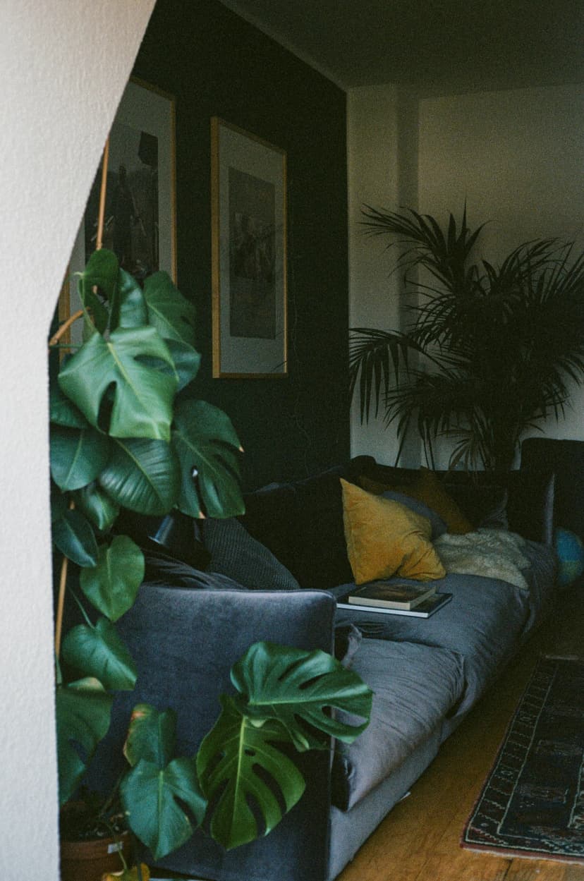furnituredecor3