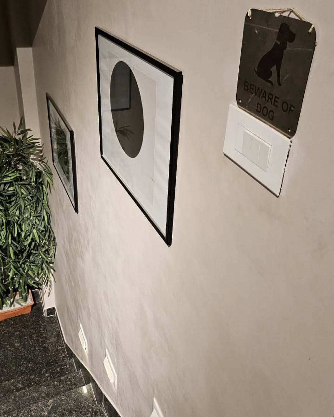 Carrara Application 8